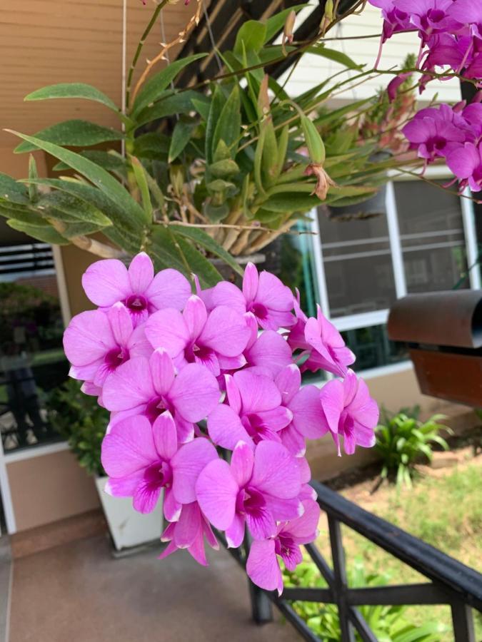 מלון Nong Kung Yai The Orchid House מראה חיצוני תמונה